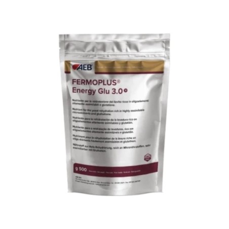 Fermoplus energy glu 3.0 AEB 0,500 gr