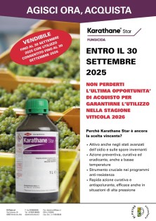 Karathane Star fungicida antioidico Corteva 1 lt