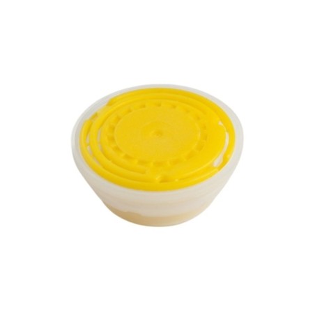 Lattina per conservazione olio da 10 litri con tappo