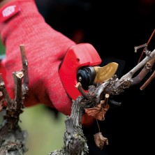 Forbice Felco cordless Vigna 834V 30 mm