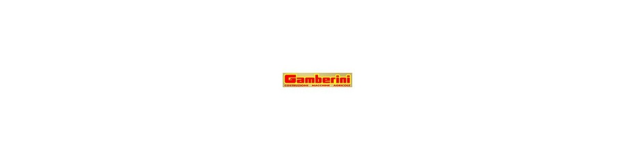 Gamberini