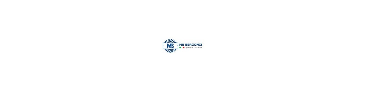 Mb Bergonizi